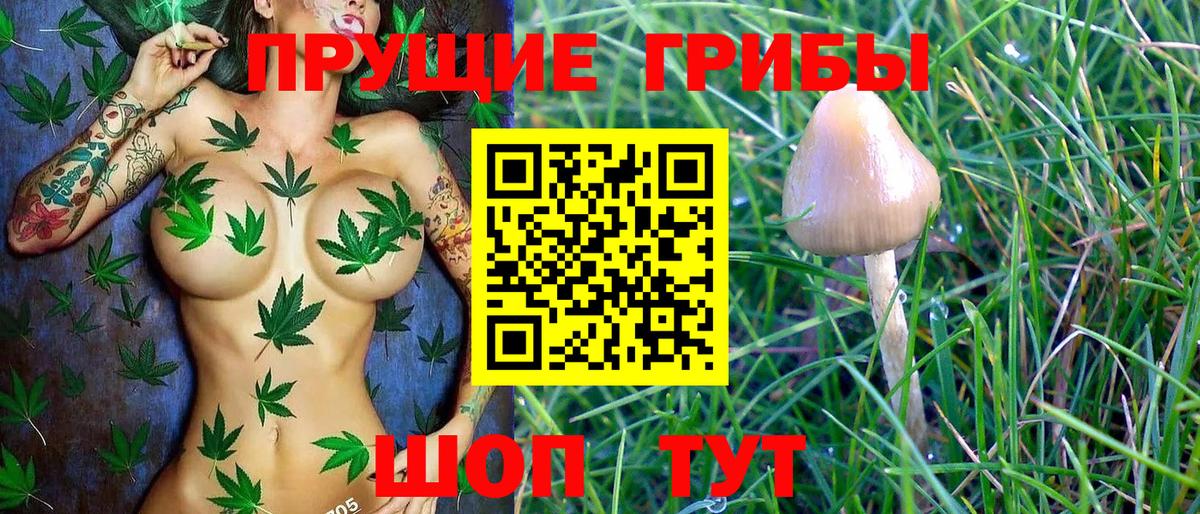 Галлюциногенные грибы Cubensis Лыткарино