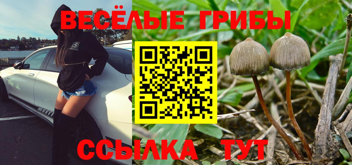 Галлюциногенные грибы Magic Shrooms  продажа наркотиков  Лыткарино  Вход с VPN 